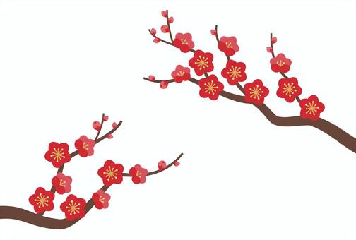 紅梅の花枝_両サイド 梅,梅の花,紅梅,花,赤,蕾,つぼみ,枝,木,迎春のイラスト素材