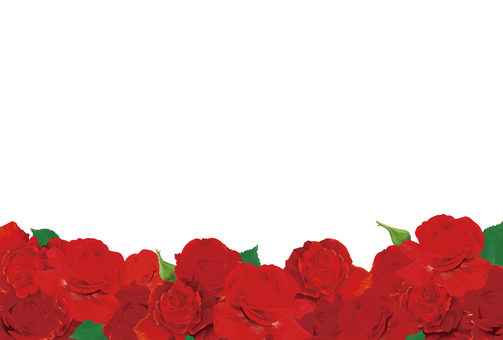 花素材_薔薇フレーム05 薔薇,バラ,花,春,ゴージャス,豪華,花びら,葉,蕾,リアルのイラスト素材