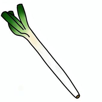 白ネギ 白ネギ ねぎ,白ネギ,野菜,なべ,具材,手書きのイラスト素材