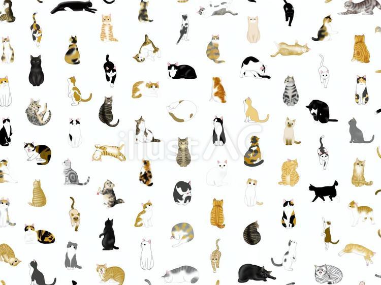 猫模様 猫,子猫,かわいいのイラスト素材