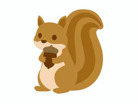 リスとどんぐり1 リス,どんぐり,動物,生き物,アイコン,イラスト,ベクター,デザイン,挿絵,主線なしのイラスト素材