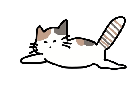 奔跑的貓, 猫, 运行, 动物, JPG 和 PNG
