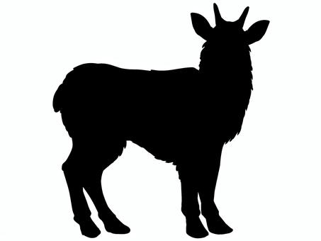 カモシカ カモシカ,動物,天然記念物,生き物,野生,蹄,角,自然のイラスト素材