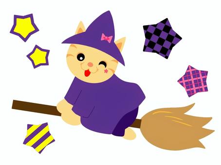 Illustration, cat, witch, animal, 