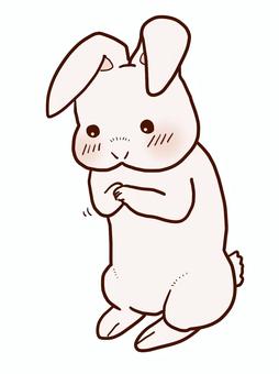 もじもじうさぎちゃん