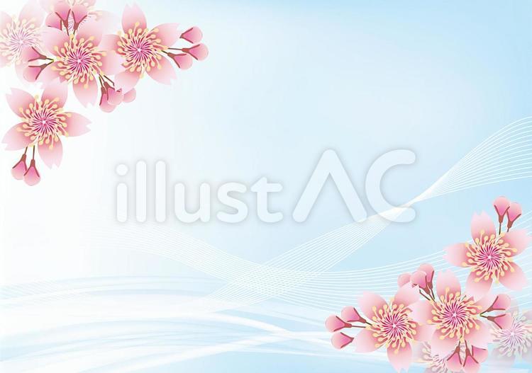 桜花爛漫204 花,桜,春のイラスト素材