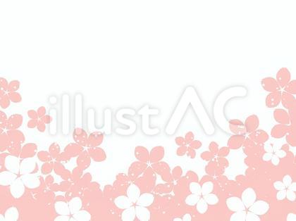 桜フレーム19/ピンク
