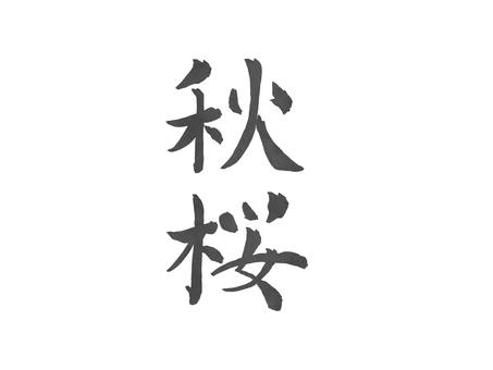 秋桜・コスモス（文字） 秋桜,コスモス,文字,筆文字,手書き,書道,習字,墨,モノクロのイラスト素材