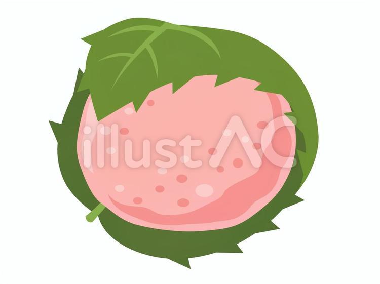 Illustration of Sakuramochi, JPG, PNG and EPS Illustration of Sakuramochi, sakura rice, japanese confectionery, snack, JPG, PNG and EPS
