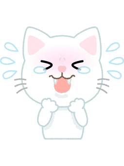 白猫泣き喚く ネコ,泣く,喚く,癇癪,涙,悲しい,辛い,白猫,動物,キャットのイラスト素材