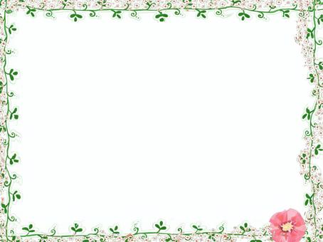 Illustration, JPG and PNG Illustration, frame, camellia, flower, JPG and PNG