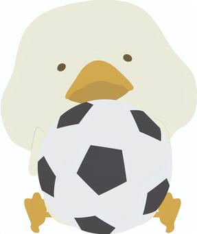 サッカーボール_鳥_あひる サッカー,ボール,アヒル,鳥,動物,かわいい,スポーツ,イラストのイラスト素材