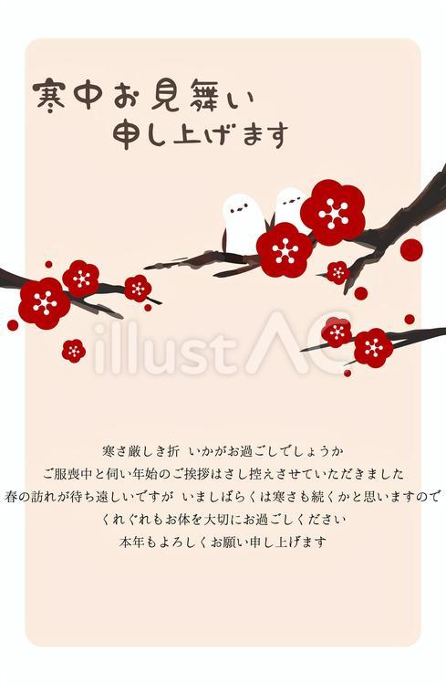 寒中見舞い　梅とシマエナガ　喪中 寒中見舞い,シマエナガ,梅のイラスト素材