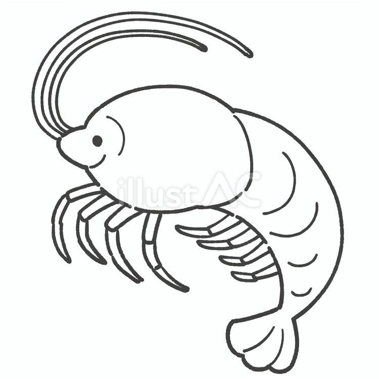 かわいい伊勢海老の白黒手描きイラスト 伊勢海老,白黒,かわいいのイラスト素材