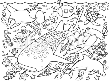 親子で海の生き物塗り絵イラスト