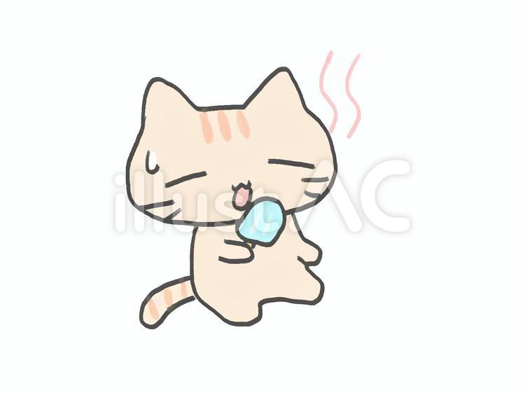暑い　ねこ 夏,暑い,アイスのイラスト素材