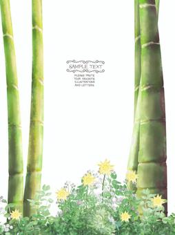 Bamboo forest frame postcard, bamboo, green, bamboo forest, JPG and PNG