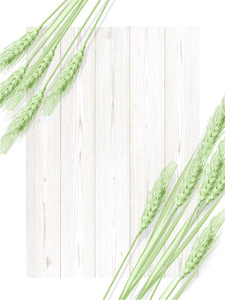 青々した緑の麦穂と板の背景1　009 麦穂,青々,リアル,緑,ナチュラル,お洒落,自然,植物,大人っぽい,枠のイラスト素材