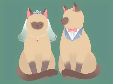 結婚式・ウェルカムボード(猫) 猫,ウェディング,新郎,新婦,結婚式,シャム猫,カップル,動物,花嫁,花婿のイラスト素材