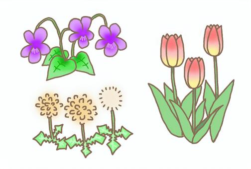 Illustration, fleurs, une violette, pissenlit, 