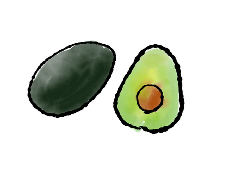 アボカド アボカド,フルーツ,あぼかど,冬,冬の果物,果物,野菜,手書きのイラスト素材