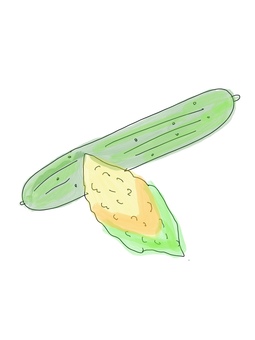 夏の緑コンビ！キュウリとゴーヤ きゅうり,ゴーヤ,手描き,ゆるい,シンプルのイラスト素材