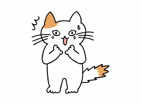 ショックを受けている猫 猫,手描き,ショック,びっくり,驚愕,冷や汗,動揺,衝撃,焦る,困惑のイラスト素材