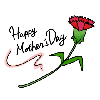 Carnation, mother's day, carnation, thank you, JPG and PNG