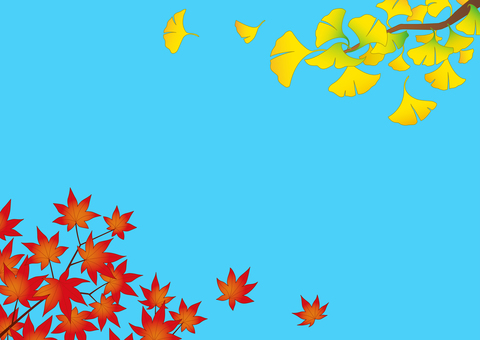Autumn frame_Hb 秋,フレーム,紅葉,銀杏,かえで,飾り枠,10月,11月,背景素材,ベクターのイラスト素材