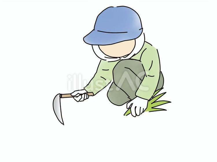 草とり 草むしり,鎌,清掃のイラスト素材