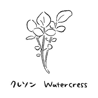 手描きのクレソン2_名称入_白黒 クレソン,野菜,アイコン,食べ物,シンプル,食材,健康,料理,農業,自然のイラスト素材
