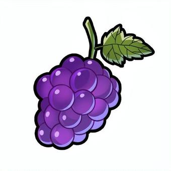 ぶどうのイラスト ぶどう,葡萄,フルーツ,果物,手描き,イラスト,素材,紫,緑,食品のイラスト素材