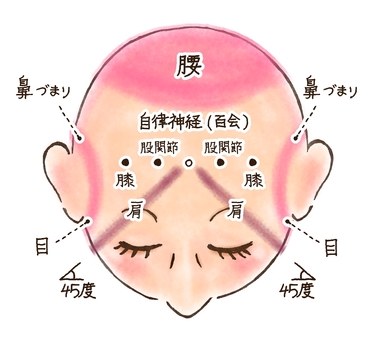 Illustration, autonomic nerves, head, baihui, 