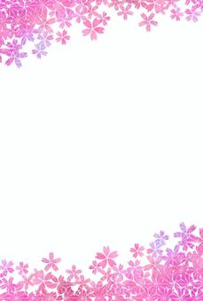 桜の花のポストカード 縦 葉書,縦,桜,春,花,植物,ピンク,ポストカード,ガーリー,余白のイラスト素材