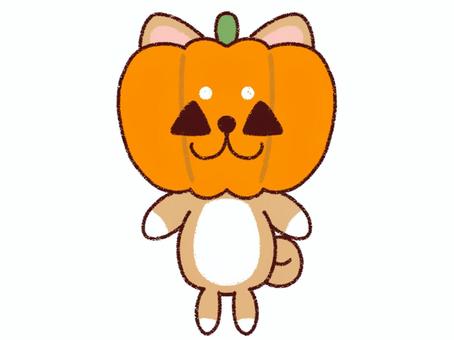 ハロウィンのカボチャの被り物をした柴犬 犬,豆柴,赤柴,動物,ペット,かわいい,手描き風,キャラクター,アイコン,背景透過のイラスト素材