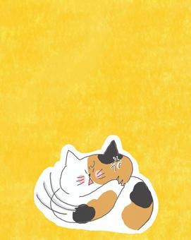 怒る三毛猫ちゃん 三毛猫,かわいい,怒る,不満,不服,文句,だめ,嫌,嫌い,引っ掻くのイラスト素材