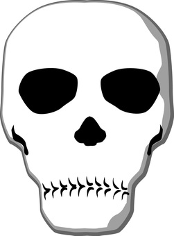 ドクロ骸骨 ドクロ,骸骨,顔のイラスト素材
