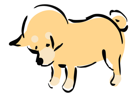 謝る柴犬 柴犬,謝る,謝罪,ごめん,犬,頭,下げる,かわいい,わんこ,ペットのイラスト素材