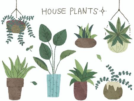 Hand-drawn foliage plant illustration set ④, , JPG, PNG and AI