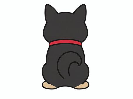 赤い首輪の黒柴がお座りしている後ろ姿