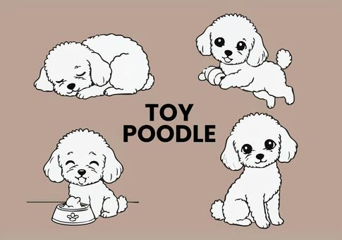 かわいいプードル プードル,犬,ドック,ペット,動物のイラスト素材