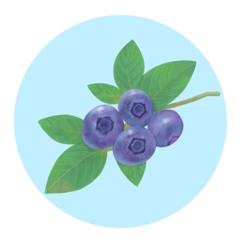 with blueberry background, JPG and PNG with blueberry background, blueberry, fruit, summer, JPG and PNG