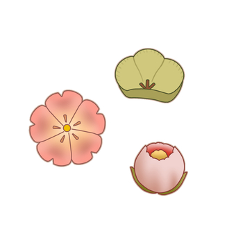 和菓子いろいろ 和菓子,いろいろ,色々,菓子,茶道,茶菓子,和文化,おやつのイラスト素材