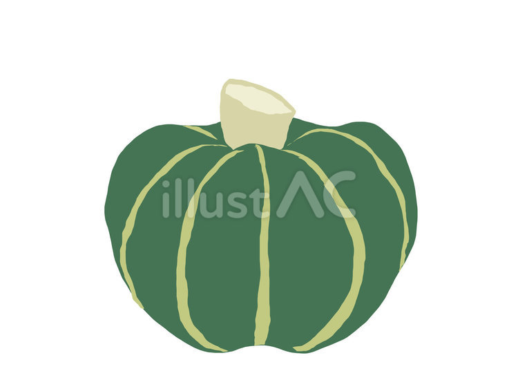 かぼちゃ かぼちゃ,夏,野菜のイラスト素材