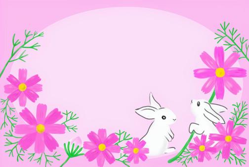 白うさぎとコスモスのフレーム（ピンク）