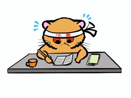受験勉強する猫 猫,受験,勉強,動物,必勝のイラスト素材
