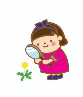 たんぽぽの観察をする女の子 たんぽぽ,植物,観察,虫眼鏡,見る,じっくり,見つめる,花,雑草,道端のイラスト素材