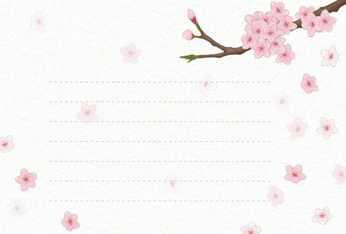 桜２＿便箋１(背景あり) 桜,春,花,4月,日本,メッセージカード,手紙,植物,手描き風,枝のイラスト素材