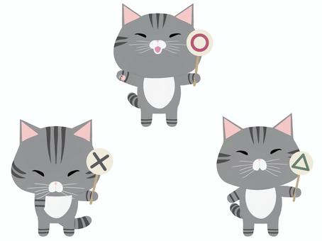 プラカード_猫 札,猫,さばとら,セット,動物,かわいい,まる,ばつ,三角,プラカードのイラスト素材