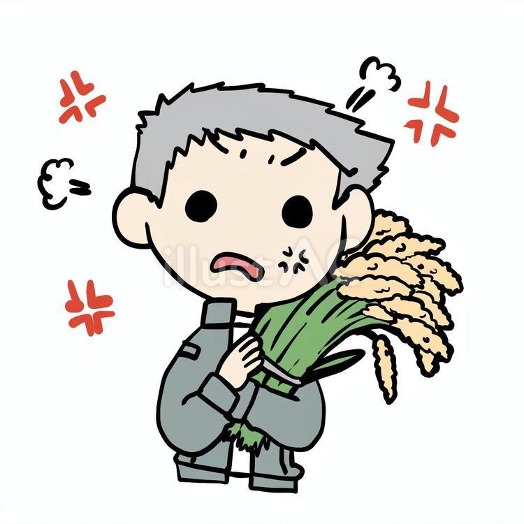 稲束を抱えて怒るおじいさん おじいさん,稲束,お米のイラスト素材